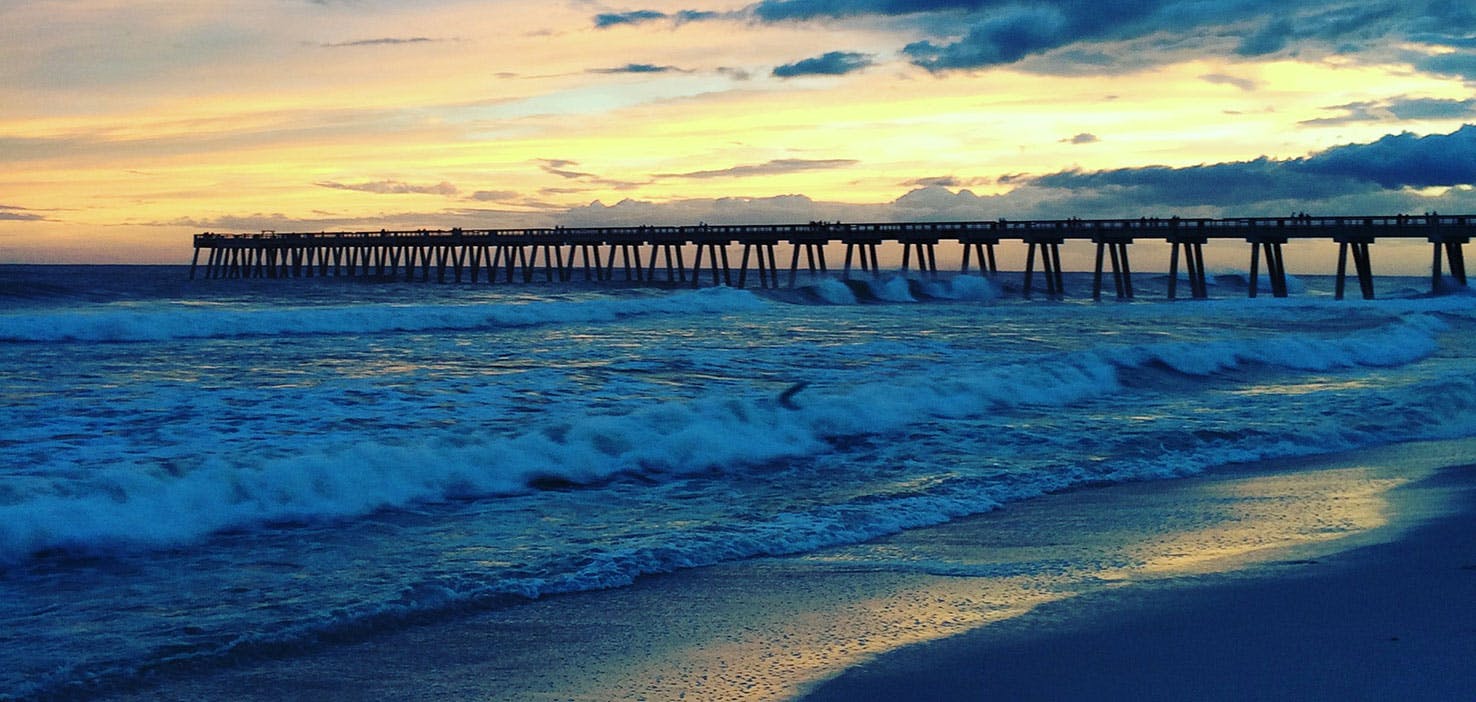 Dog Walkers in Navarre, FL Dog Walking Near You Wag!