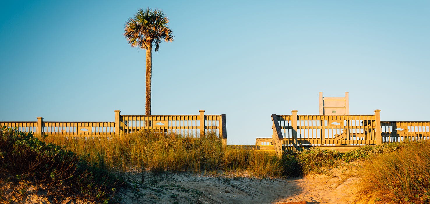 Dog Walkers in Palm Coast, FL Dog Walking Near You Wag!