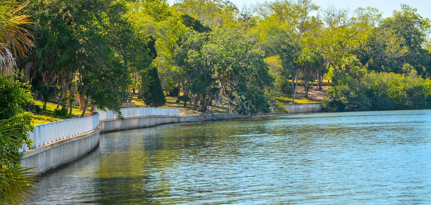 Dog Walkers in Safety Harbor, FL Dog Walking Near You Wag!