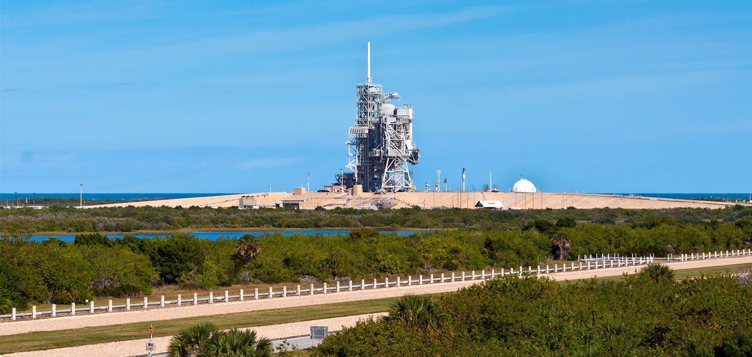 Dog Walkers in Titusville, FL Dog Walking Near You Wag!