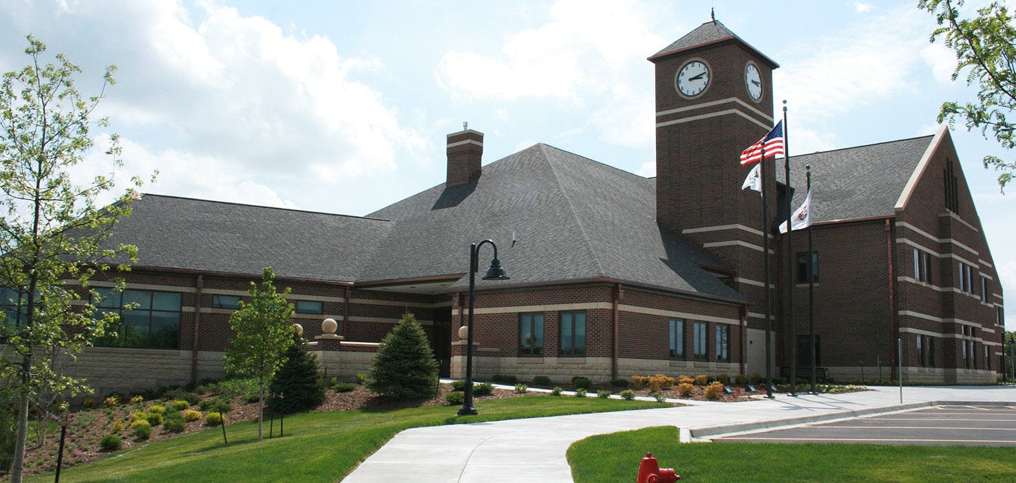 Best Dog Walkers in Oswego, IL Wag!