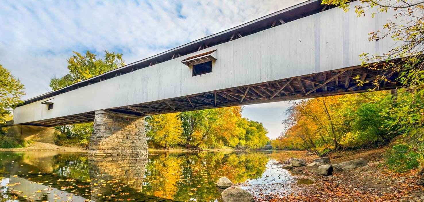 Dog Walkers in Noblesville, IN Dog Walking Near You Wag!