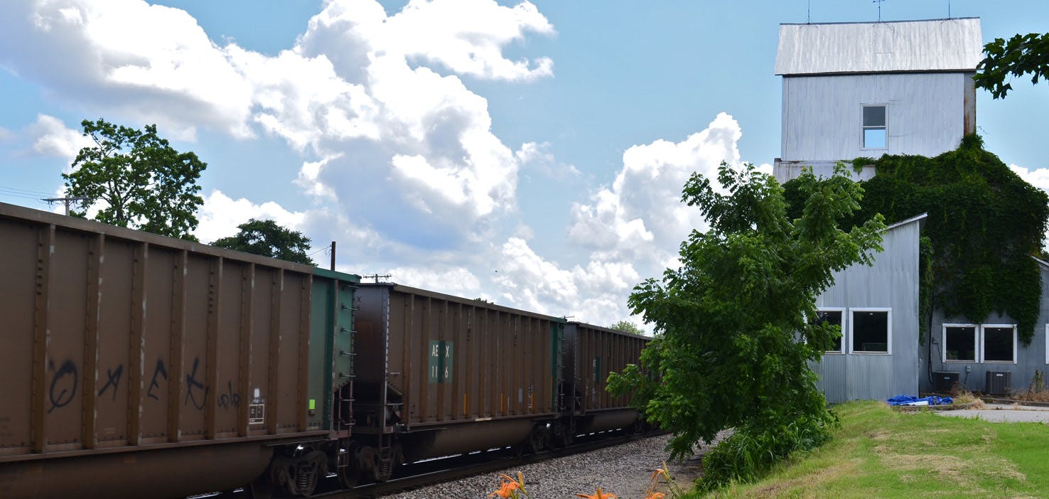 Dog Walkers in Lenexa, KS Dog Walking Near You Wag!