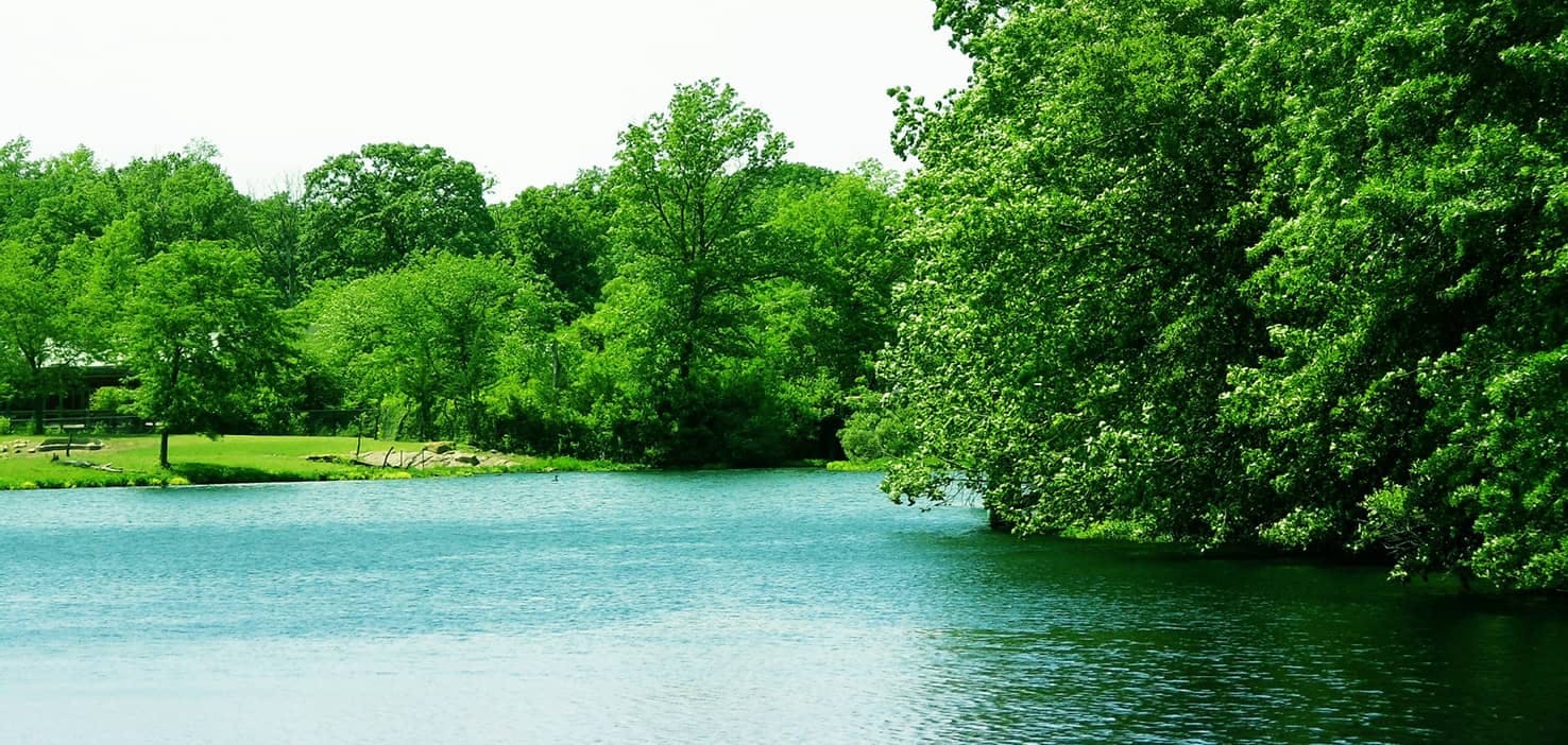 Dog Walkers in Shawnee, KS Dog Walking Near You Wag!