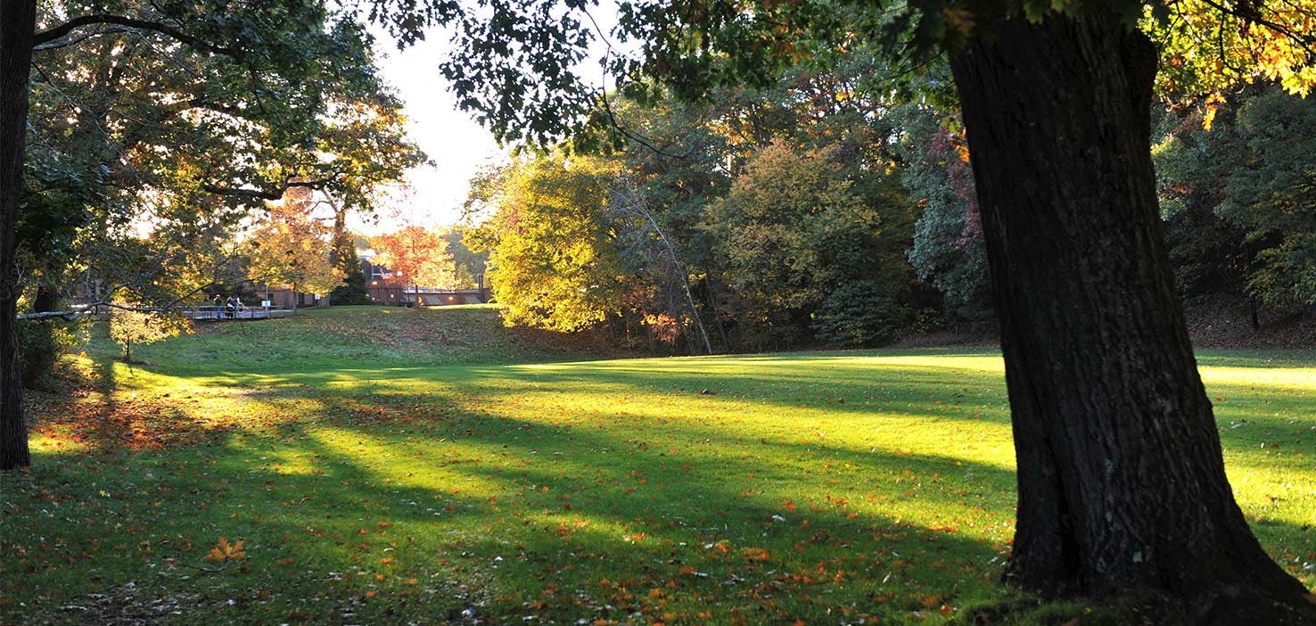 Dog Walkers in Wellesley Hills, MA Dog Walking Near You Wag!