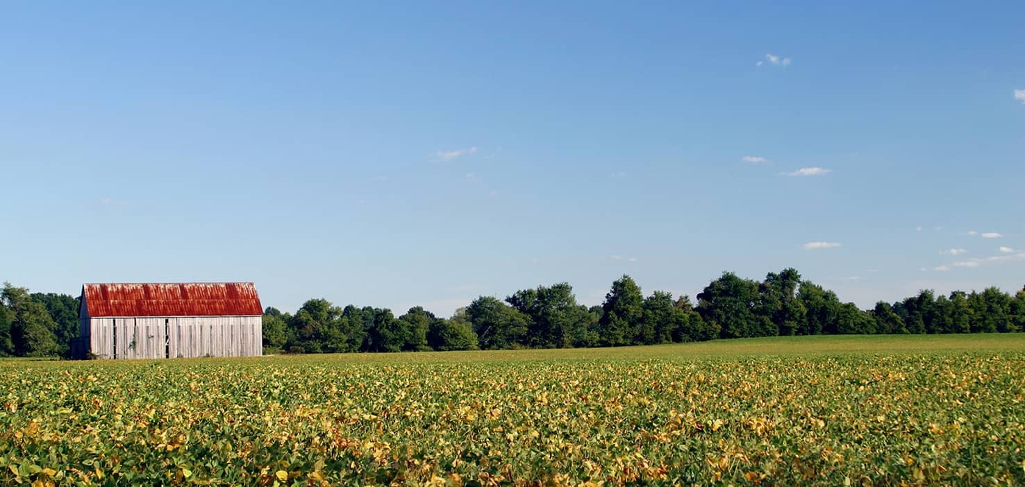 Dog Walkers in Waldorf, MD Dog Walking Near You Wag!