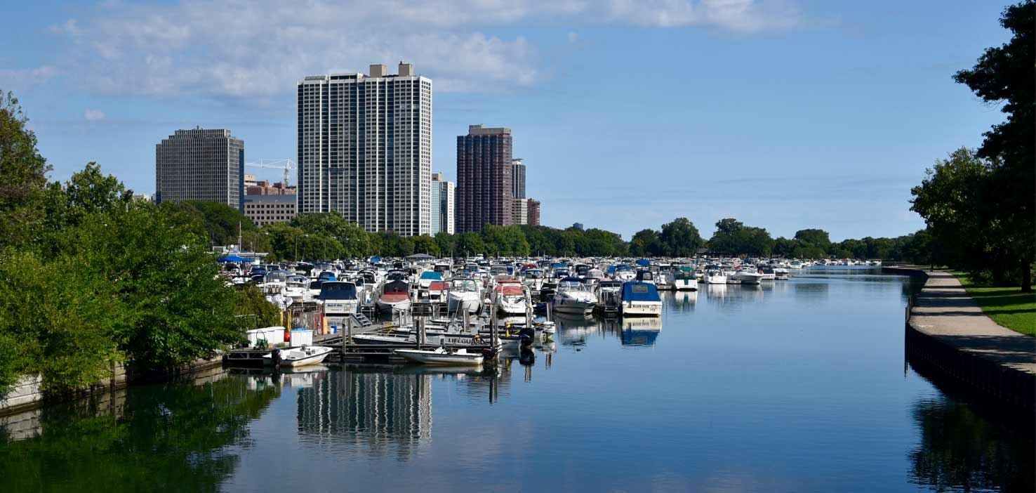 Dog Walkers in Lincoln Park, MI Dog Walking Near You Wag!