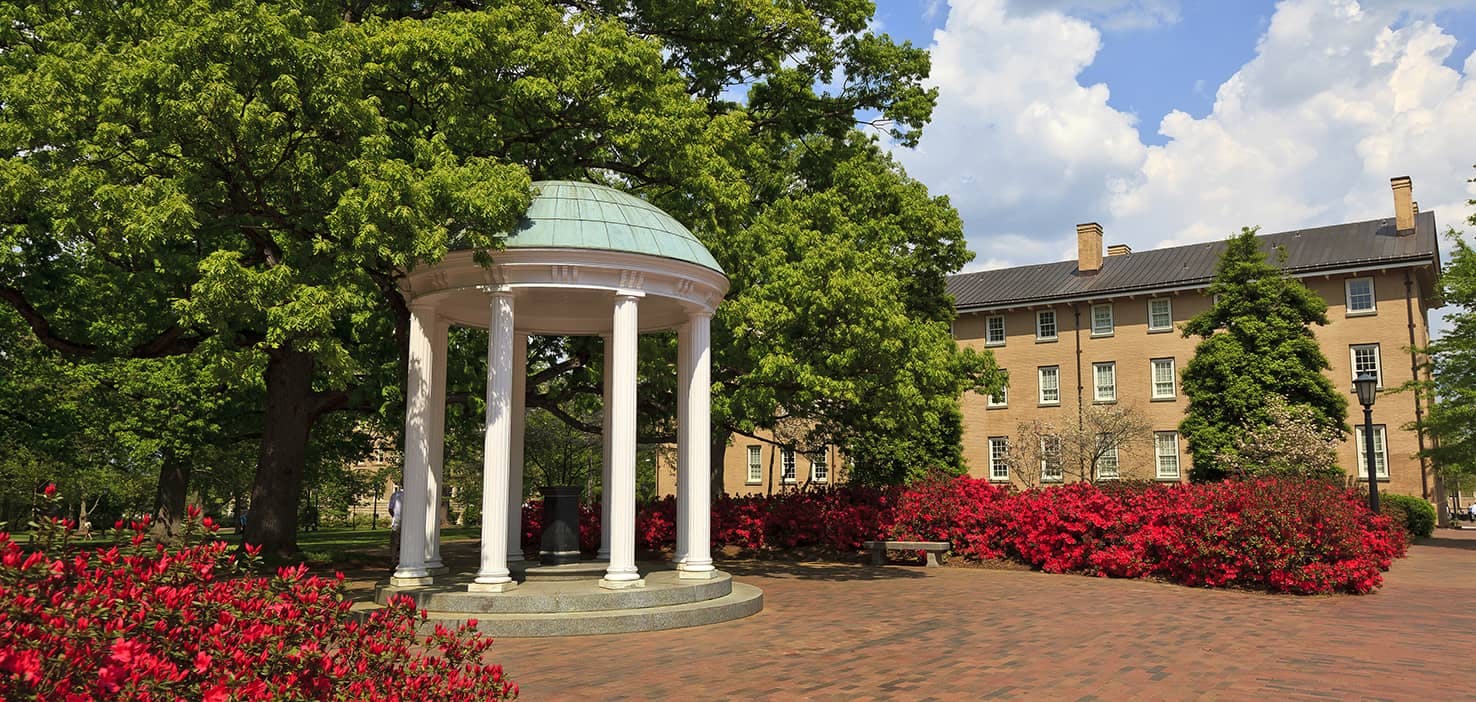 Dog Walkers in Chapel Hill, NC Dog Walking Near You Wag!