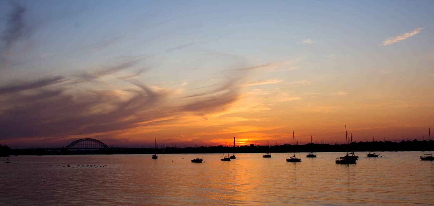 Dog Walkers in Cherry Hill, NJ Dog Walking Near You Wag!