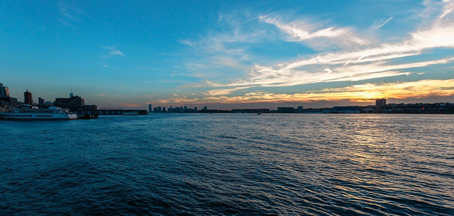 Dog Walkers in Edgewater, NJ Dog Walking Near You Wag!