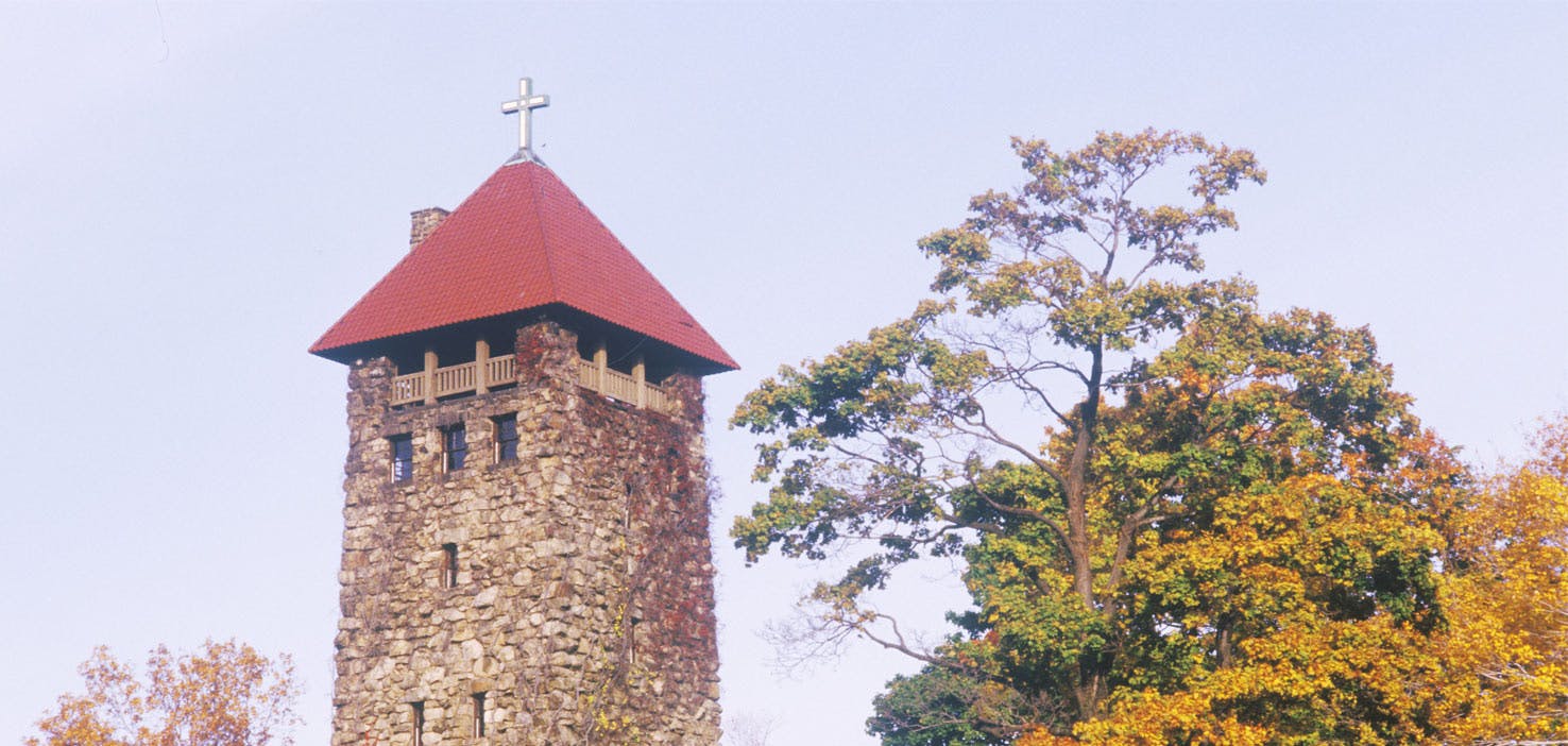 Dog Walkers in Morristown, NJ Dog Walking Near You Wag!