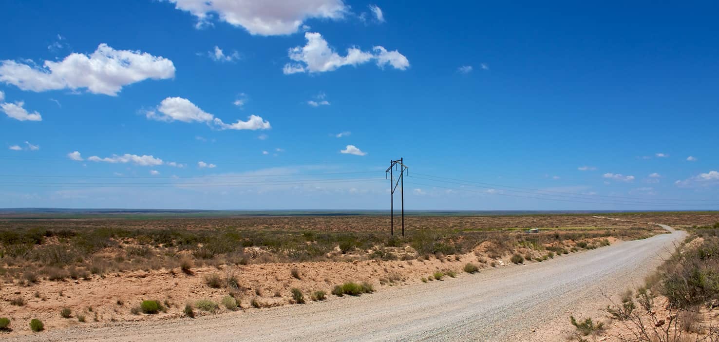 Dog Walkers in Roswell, NM Dog Walking Near You Wag!