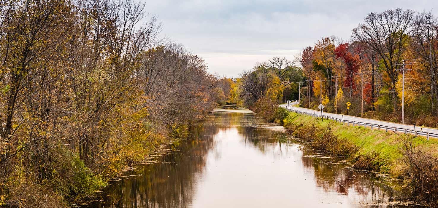 Dog Walkers in Clifton Park, NY Dog Walking Near You Wag!