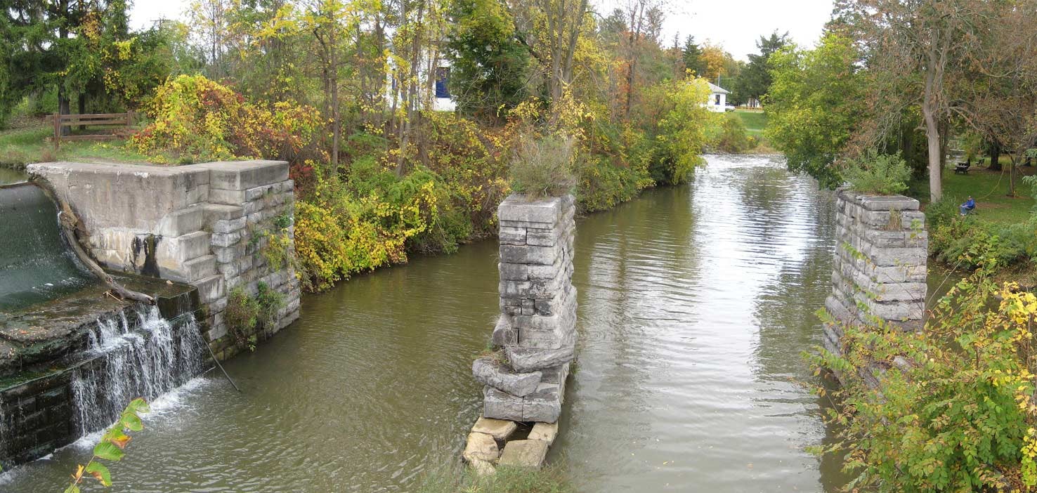 Dog Walkers in Macedon, NY Dog Walking Near You Wag!