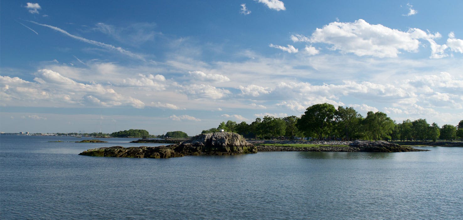 Dog Walkers in New Rochelle, NY Dog Walking Near You Wag!