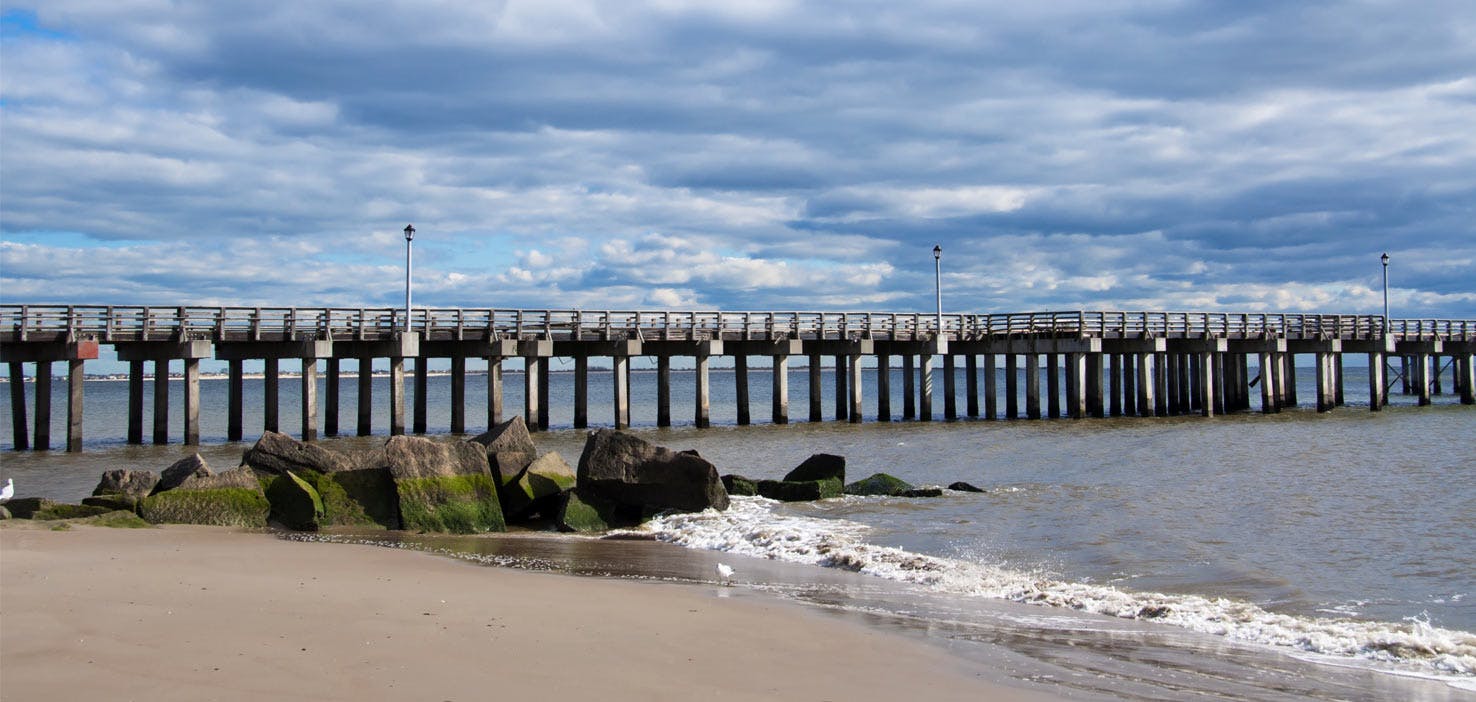 Dog Walkers in Oceanside, NY Dog Walking Near You Wag!