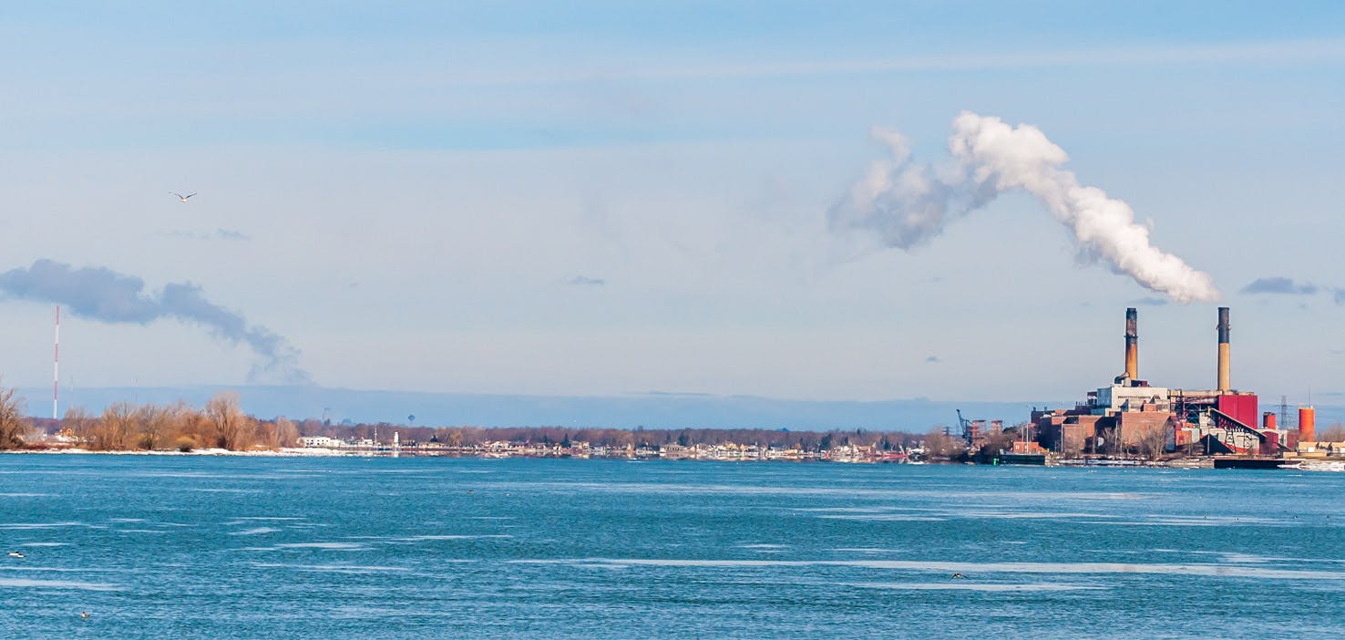 Dog Walkers in Tonawanda, NY Dog Walking Near You Wag!