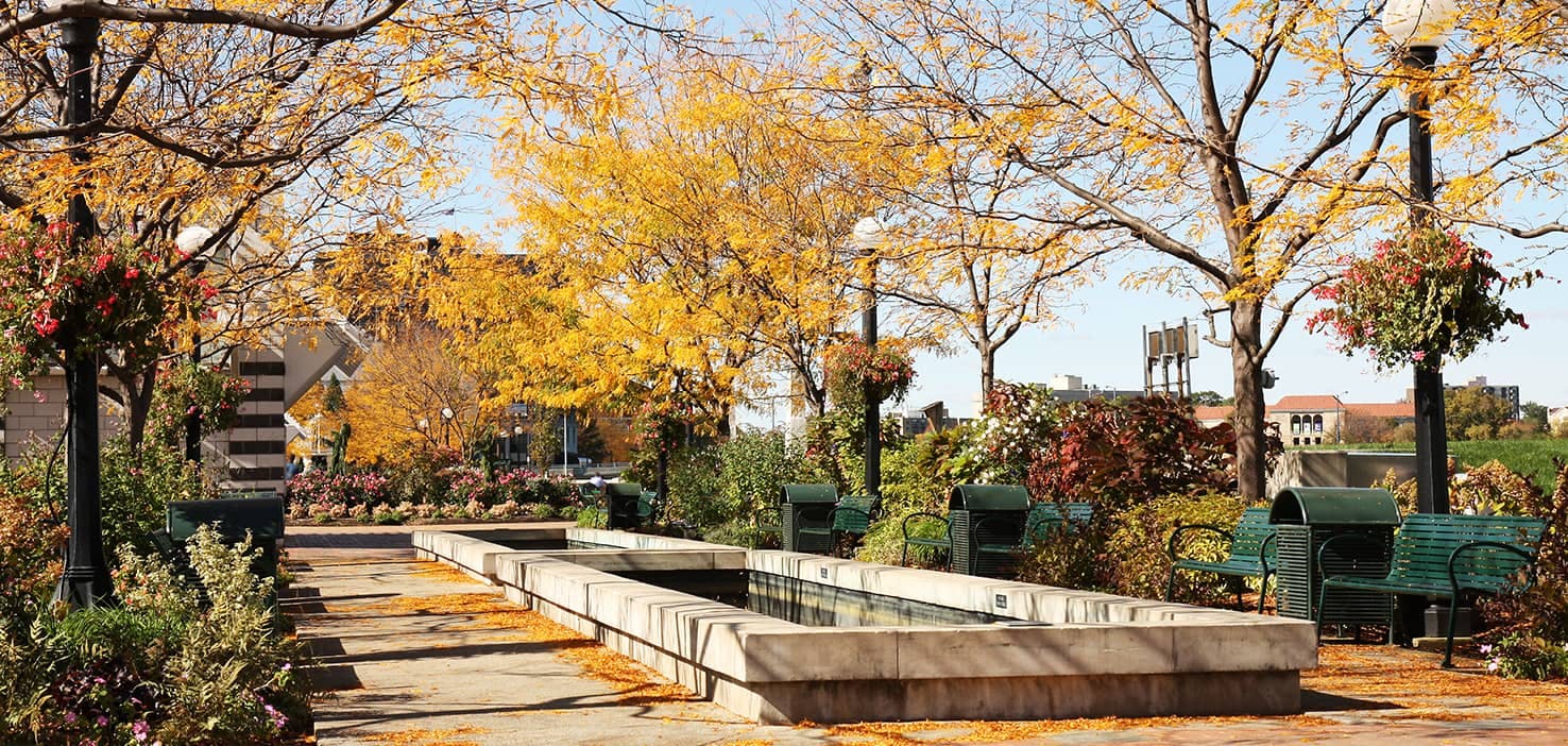 Dog Walkers in Dayton, OH Dog Walking Near You Wag!