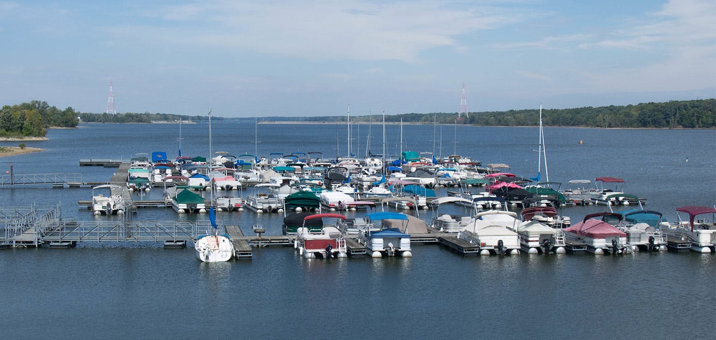 Dog Walkers in Westerville, OH Dog Walking Near You Wag!