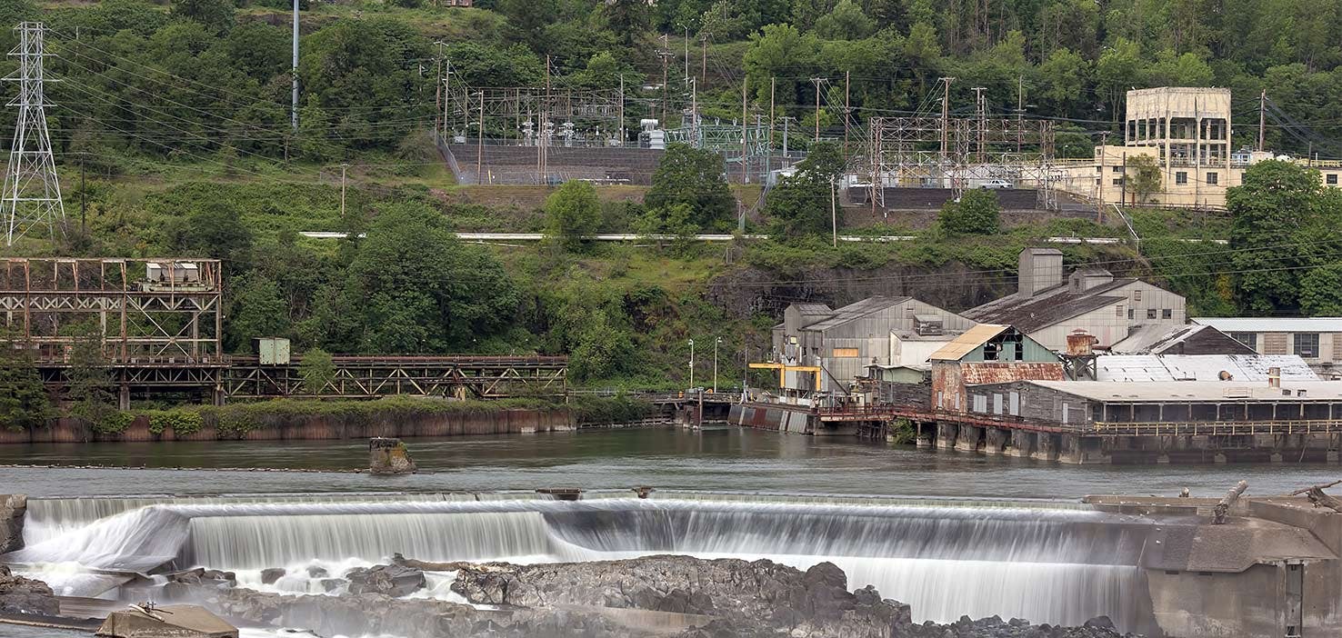 Dog Walkers in West Linn, OR Dog Walking Near You Wag!