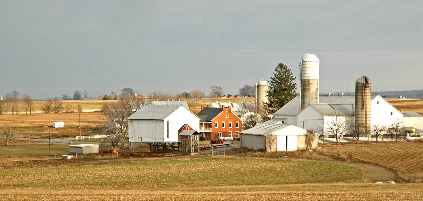 Dog Walkers in Homestead, PA Dog Walking Near You Wag!