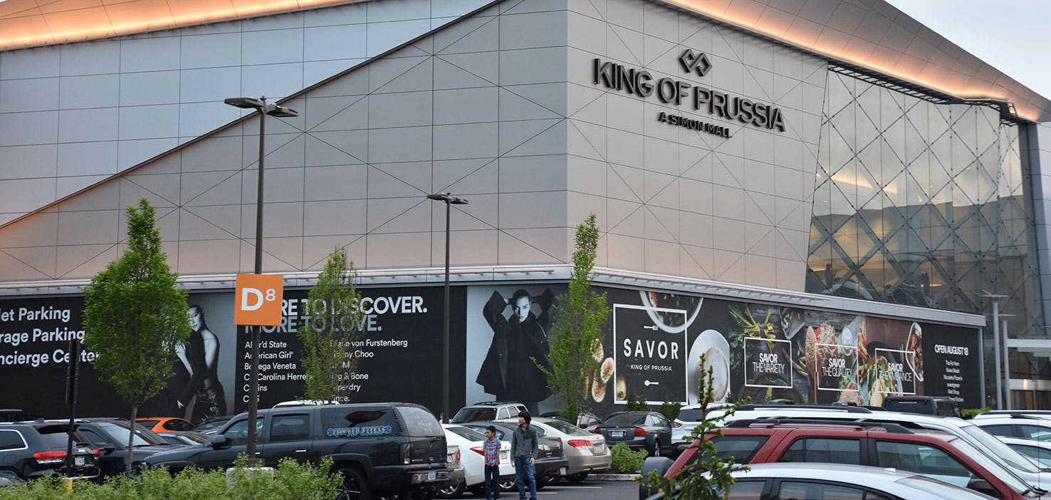 Dog Walkers in King Of Prussia, PA Dog Walking Near You Wag!