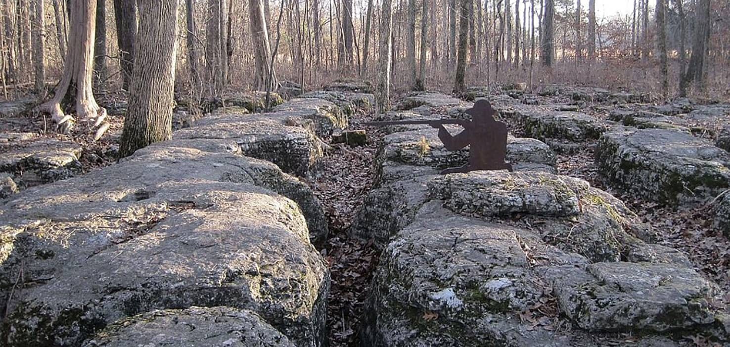 Dog Walkers in Murfreesboro, TN Dog Walking Near You Wag!