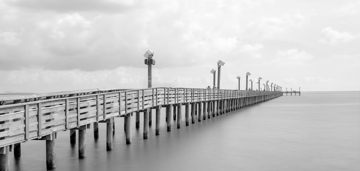 Dog Walkers in La Porte, TX Dog Walking Near You Wag!