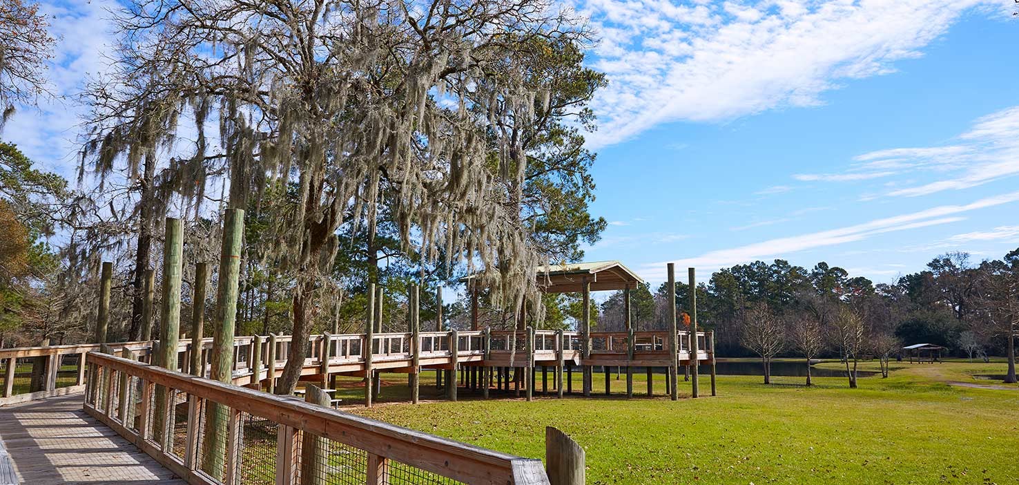 Dog Walkers in Tomball, TX Dog Walking Near You Wag!