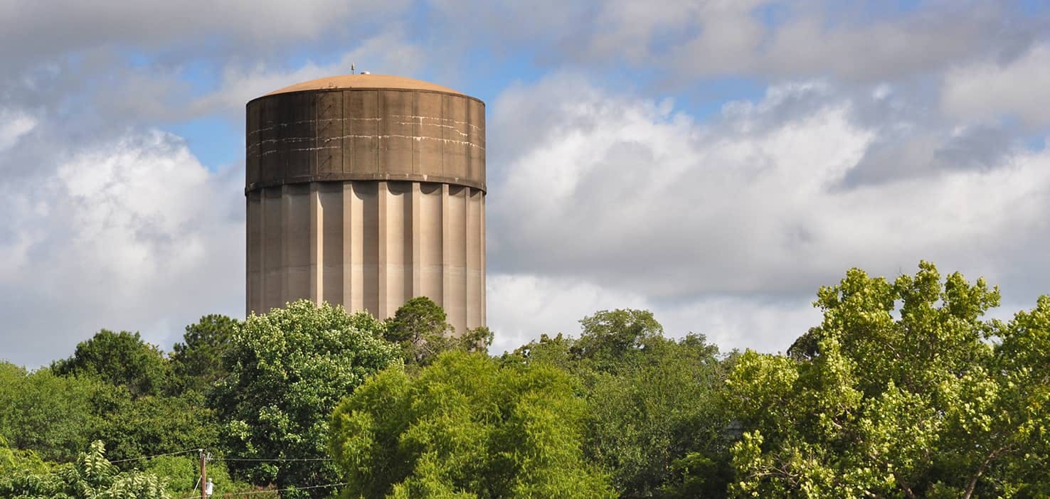 Dog Walkers in Tyler, TX Dog Walking Near You Wag!