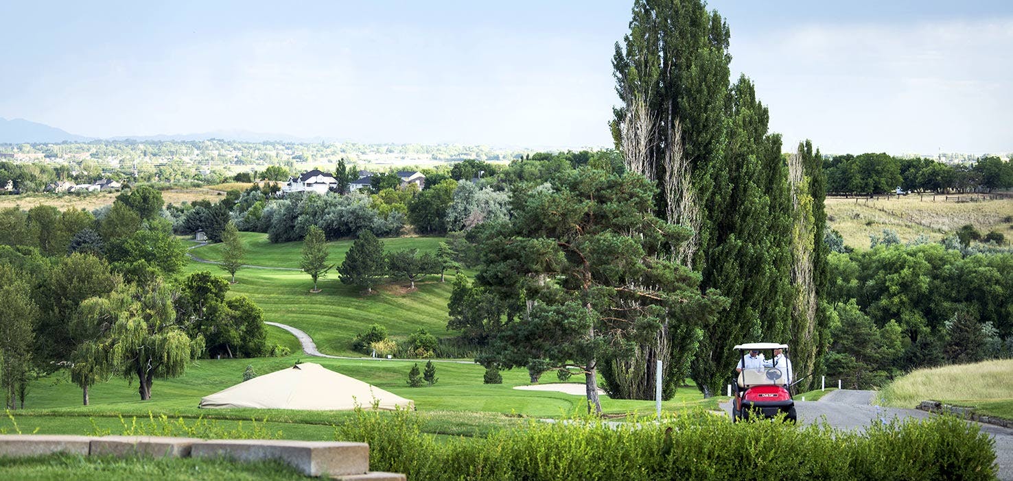 Dog Walkers in Layton, UT Dog Walking Near You Wag!