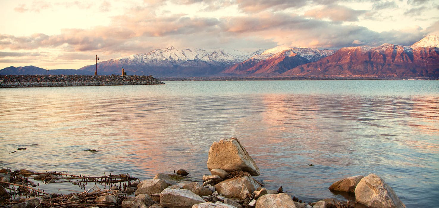 Dog Walkers in Saratoga Springs, UT Dog Walking Near You Wag!