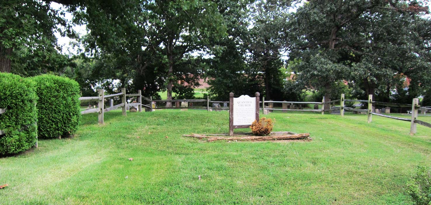 Dog Walkers in Dumfries, VA Dog Walking Near You Wag!