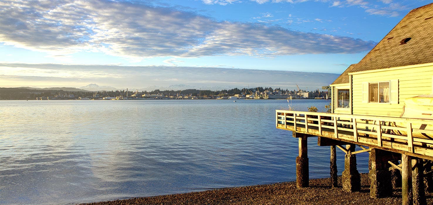 Dog Walkers In Port Orchard Wa Dog Walking Near You Wag