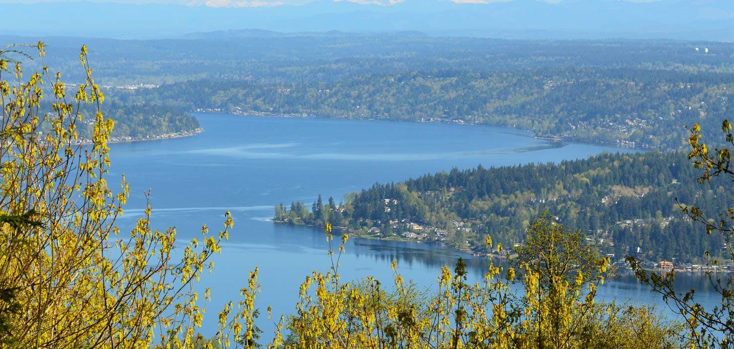 Dog Walkers in Sammamish, WA - Dog Walking Near You | Wag!