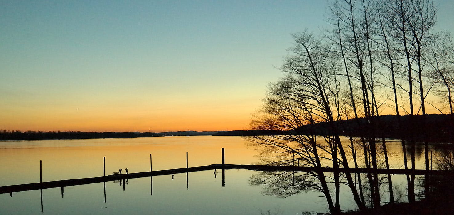 Dog Walkers in Washougal, WA Dog Walking Near You Wag!