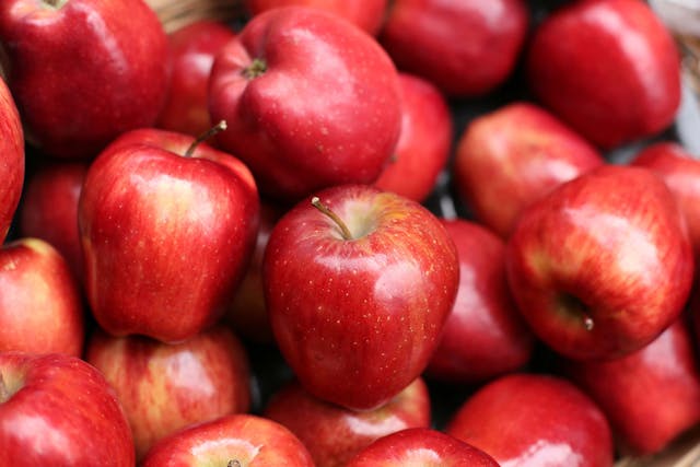 Apples Allergies in Dogs - Symptoms, Causes, Diagnosis, Treatment, Recovery, Management, Cost