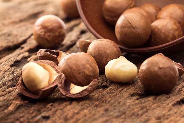 Australian Nut Poisoning in Dogs - Symptoms, Causes, Diagnosis, Treatment, Recovery, Management, Cost