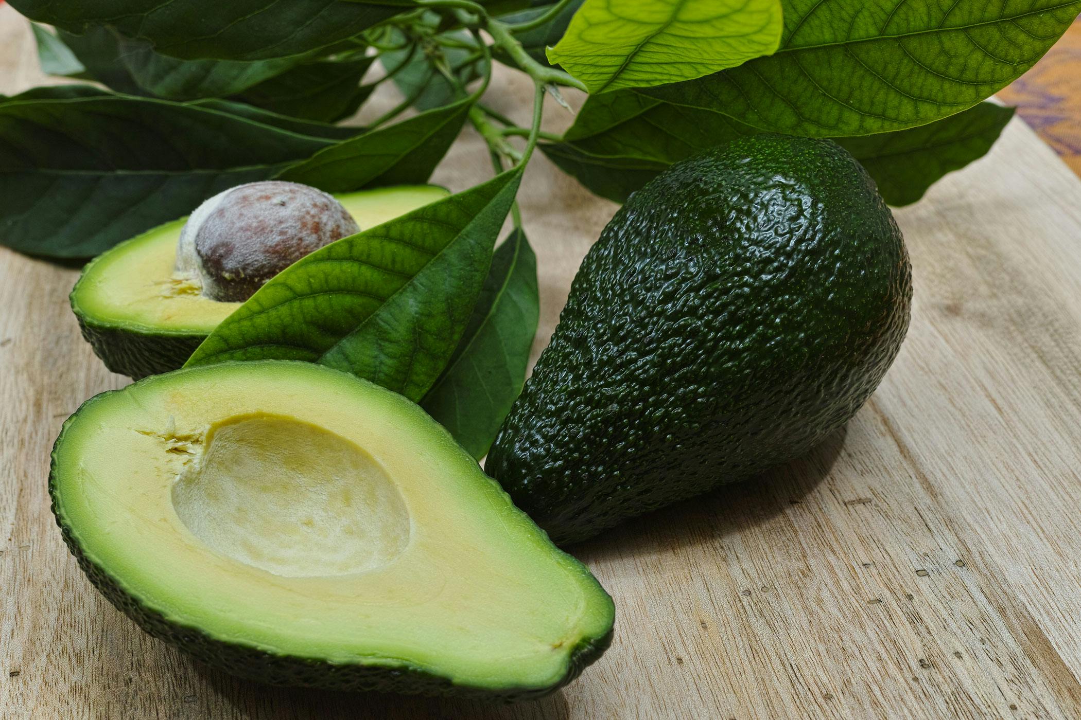 Avocado Poisoning