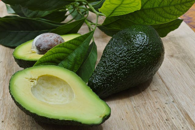 Avocado Poisoning in Dogs - Symptoms, Causes, Diagnosis, Treatment, Recovery, Management, Cost