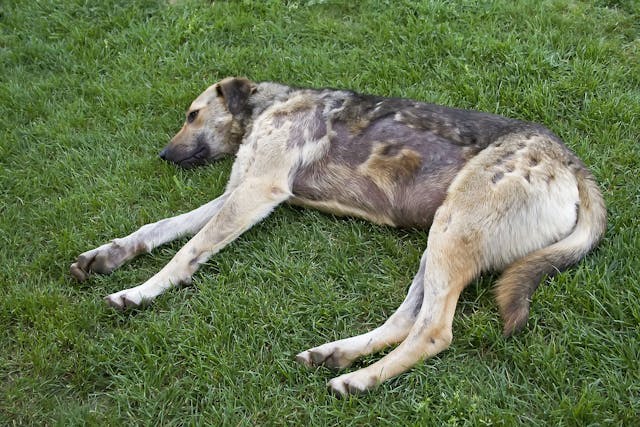 Baclofen average cost