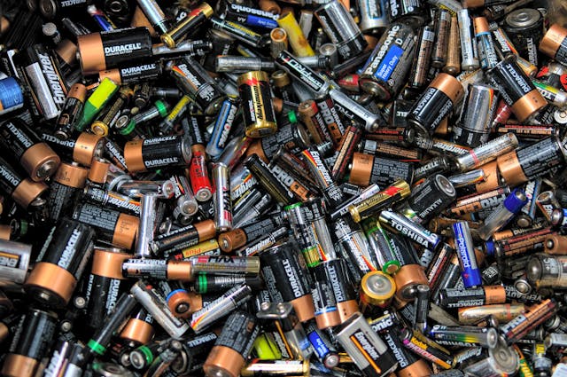 Battery Poisoning in Dogs - Symptoms, Causes, Diagnosis, Treatment, Recovery, Management, Cost