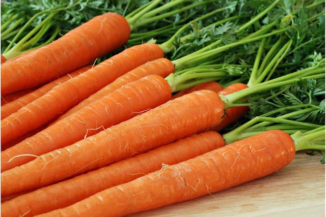 Carrots Allergies in Dogs - Symptoms, Causes, Diagnosis, Treatment, Recovery, Management, Cost