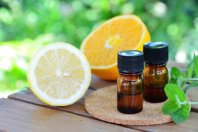 Citrus Oil Toxicity in Dogs - Symptoms, Causes, Diagnosis, Treatment, Recovery, Management, Cost