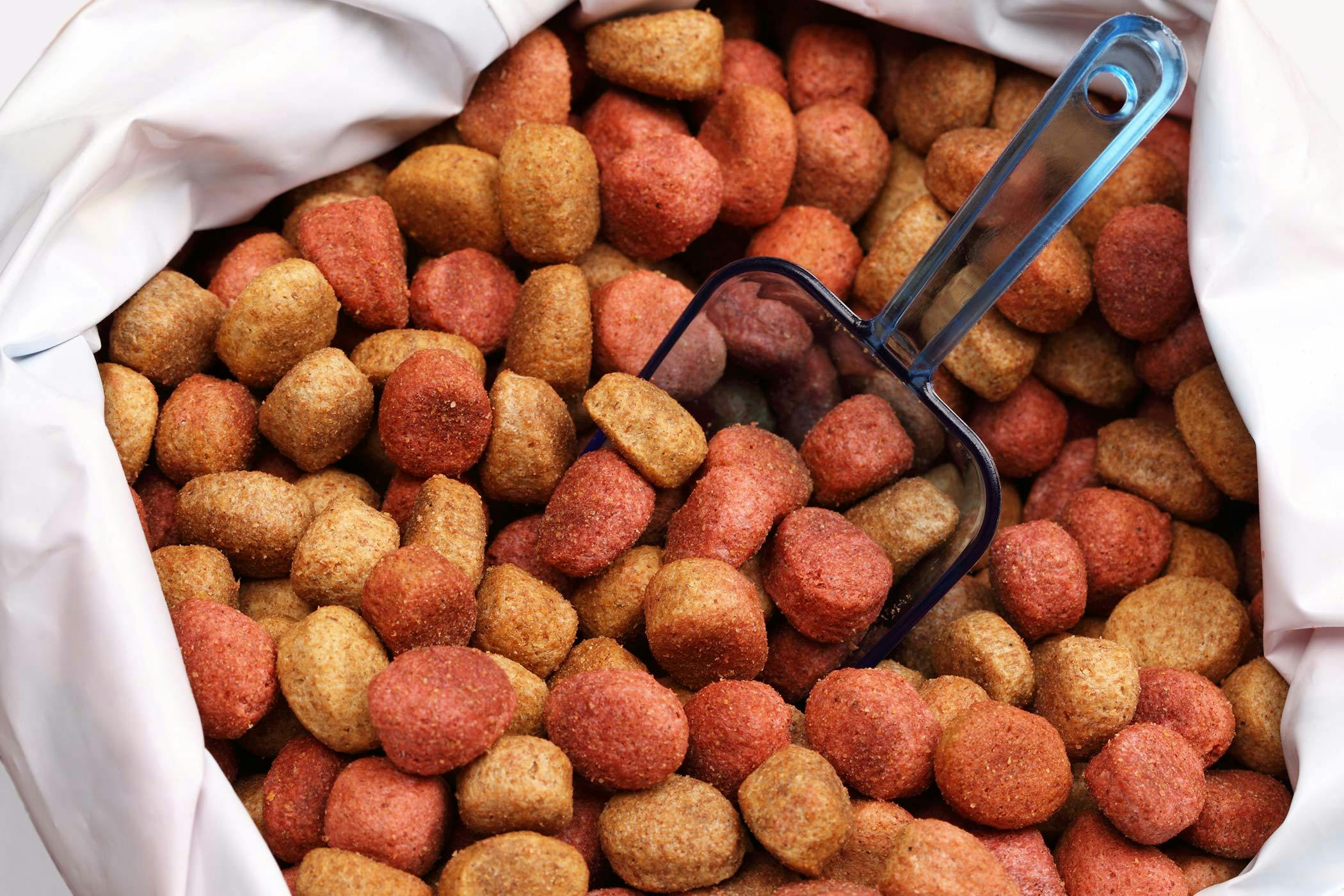 Dog food that's good for outlet allergies