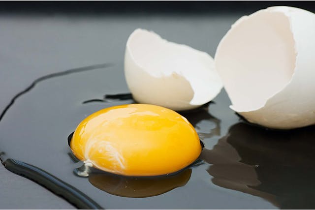 Egg White Allergies in Dogs - Symptoms, Causes, Diagnosis, Treatment, Recovery, Management, Cost