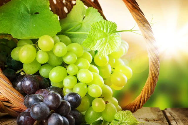 Grape Poisoning in Dogs - Signs, Causes, Diagnosis, Treatment, Recovery, Management, Cost