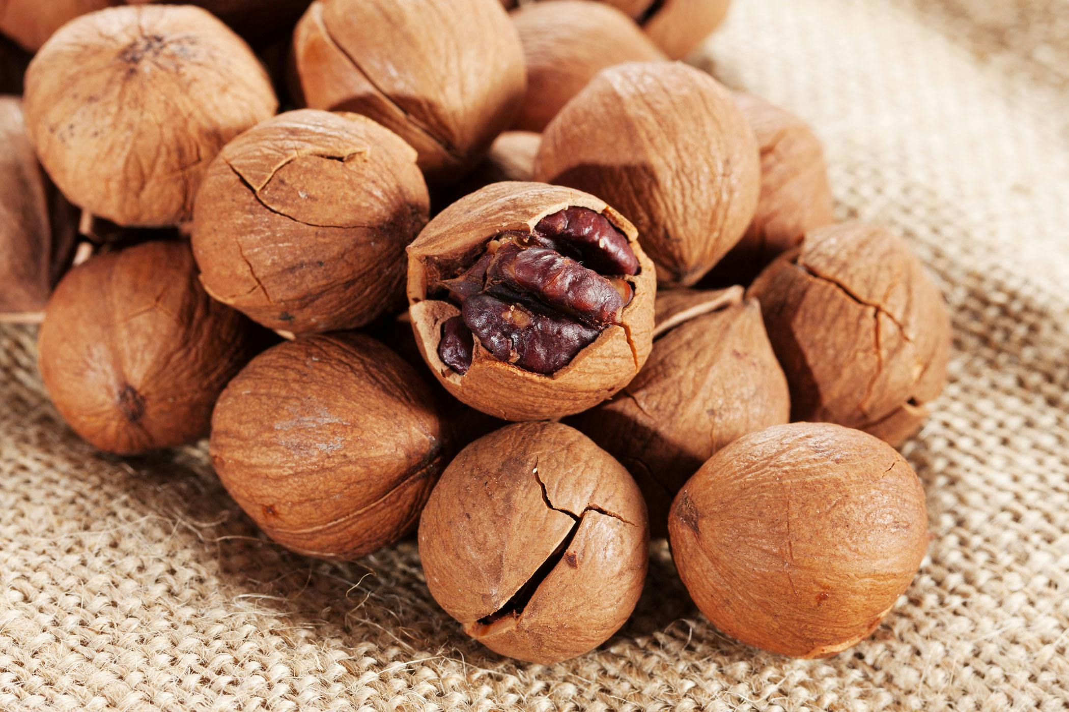 are black walnuts dangerous for dogs