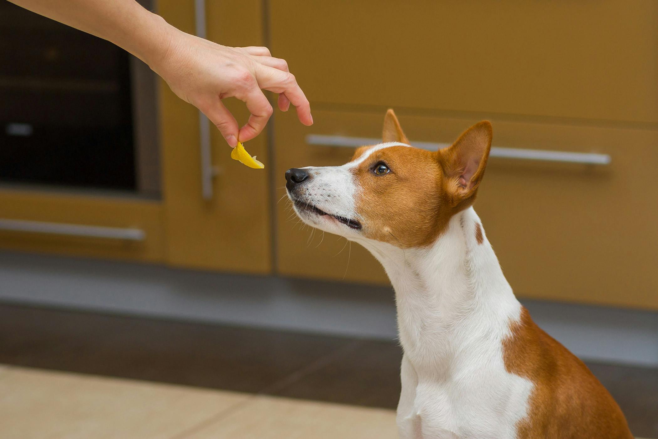 Can You Get Breast Cancer From Secondhand Smoke can-you-get-breast-cancer-from-secondhand-smoke