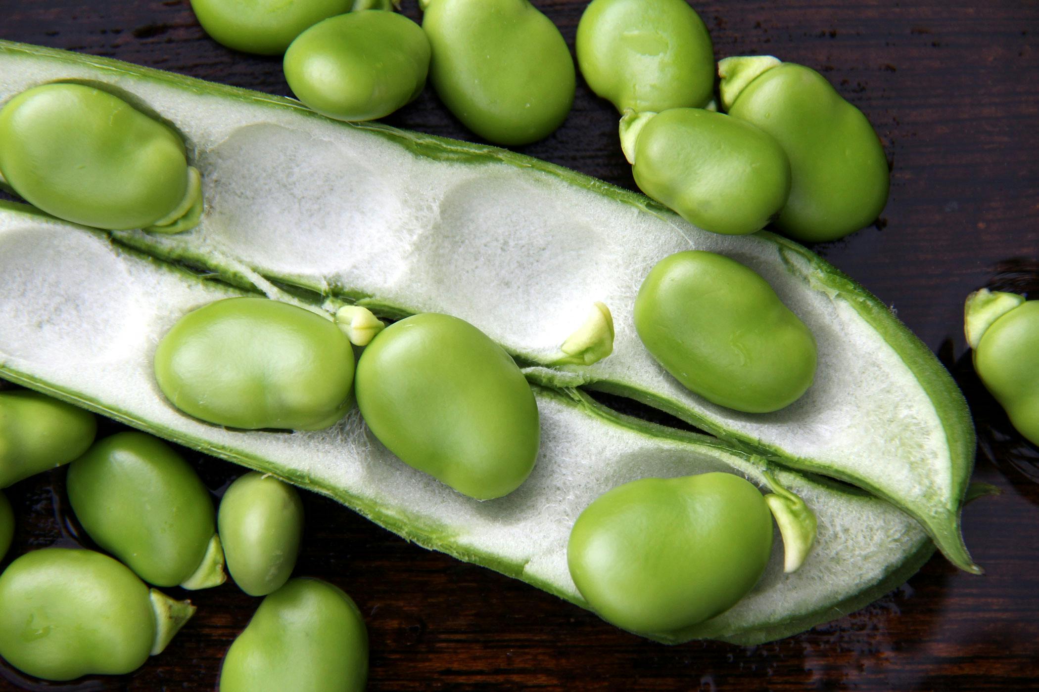 are broad beans poisonous to dogs